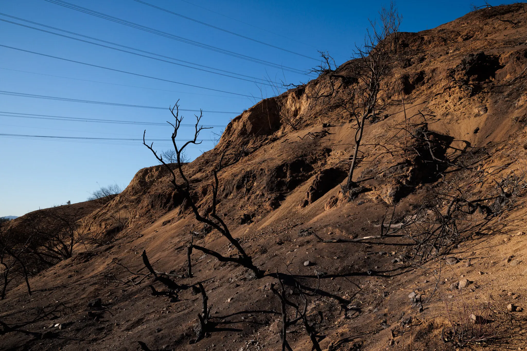 Арешт у справі пожежі Little Mountain: поліція вживає заходів проти необережного підпалу